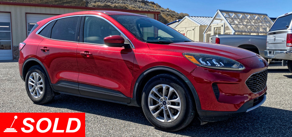 2020 Ford Escape SOLD! at Stickshift Motors Cody, WY